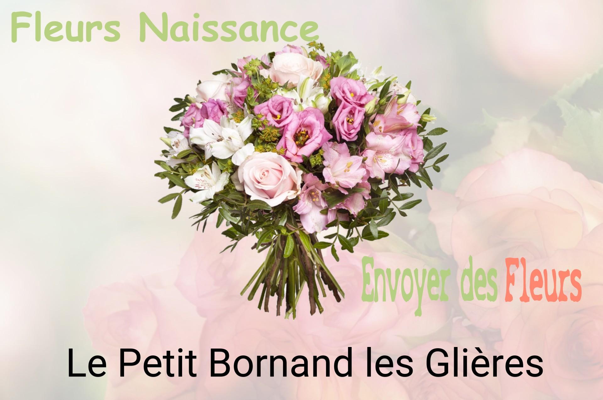 Bouquet de fleurs de naissance livré à Le Petit-Bornand-les-Glières